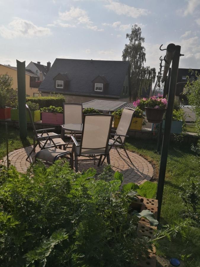 Ferienwohnung Winzer 안나베르크 외부 사진